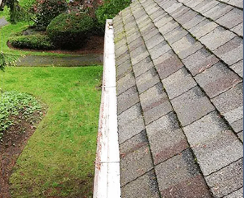 After: Gutter Cleaning