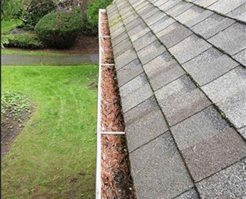 Before: Gutter Cleaning